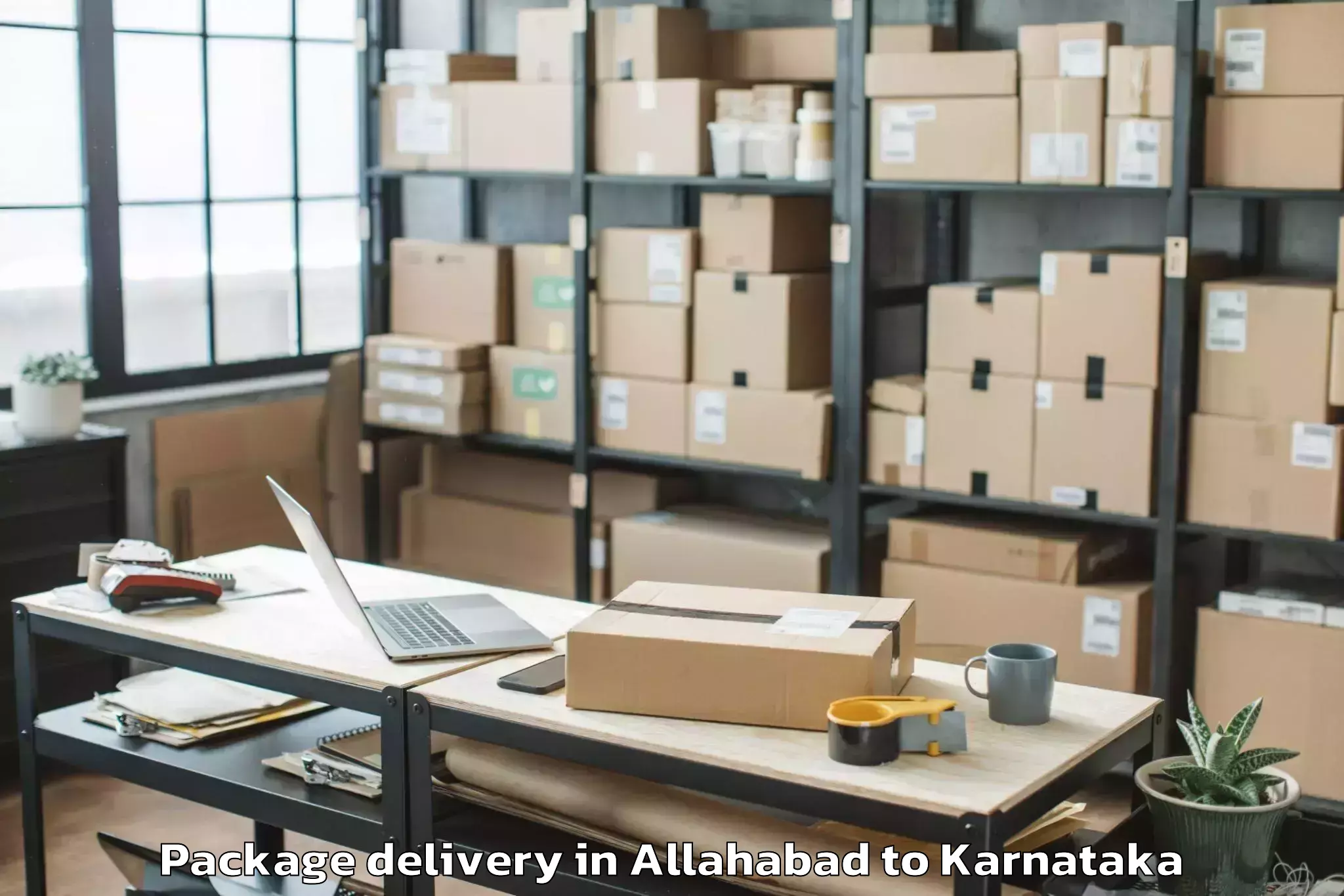 Book Allahabad to Kannada University Vidyaranya Package Delivery